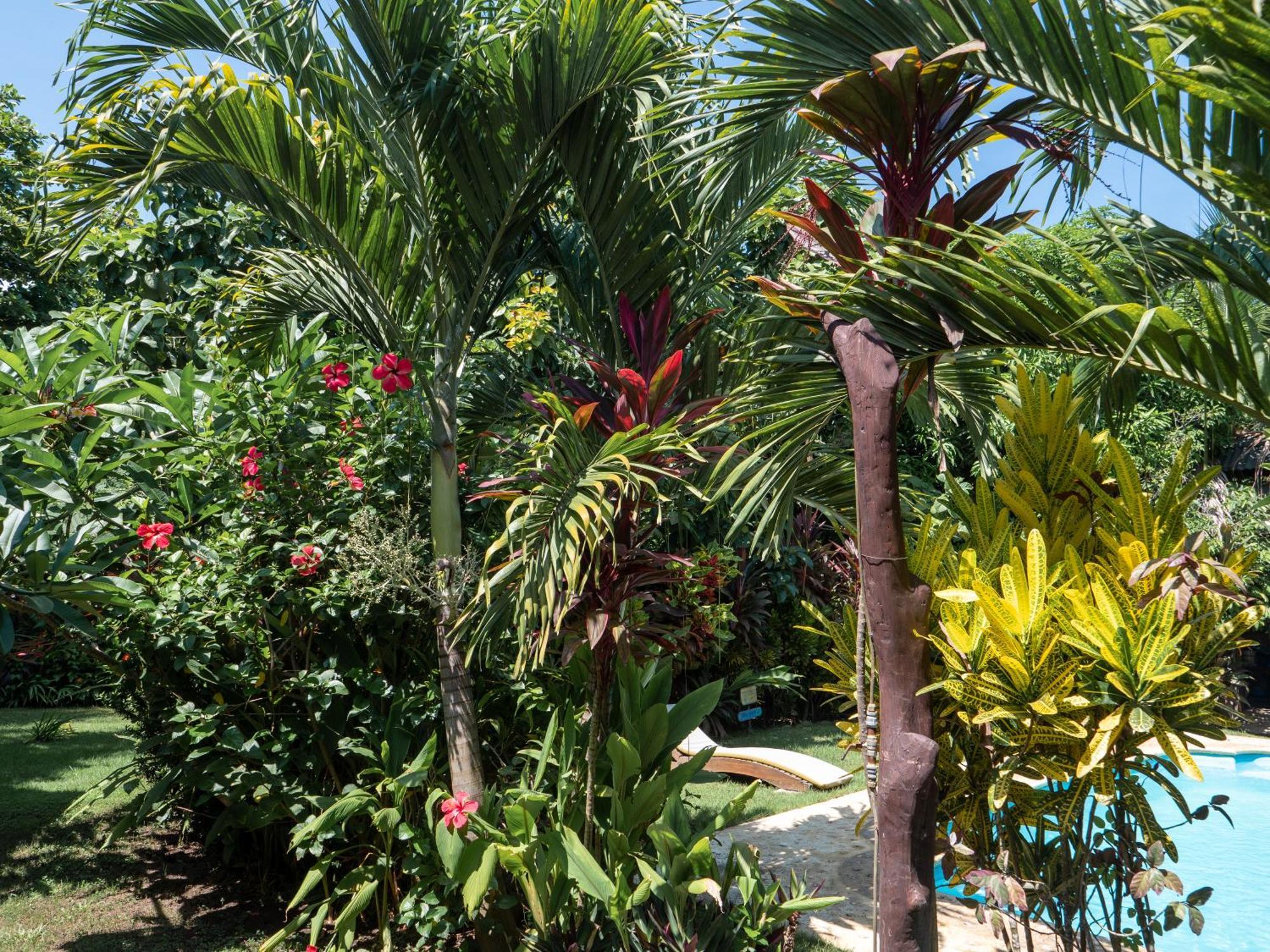 Nuba Boutique Hostel ปาโลมิโน ภายนอก รูปภาพ