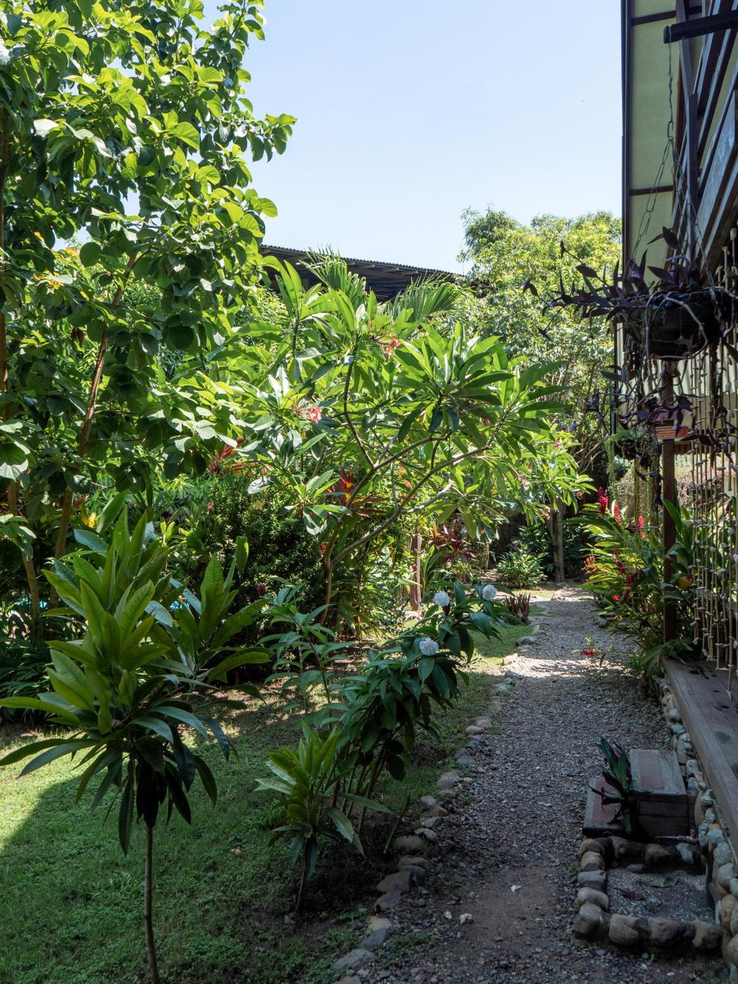 Nuba Boutique Hostel ปาโลมิโน ภายนอก รูปภาพ