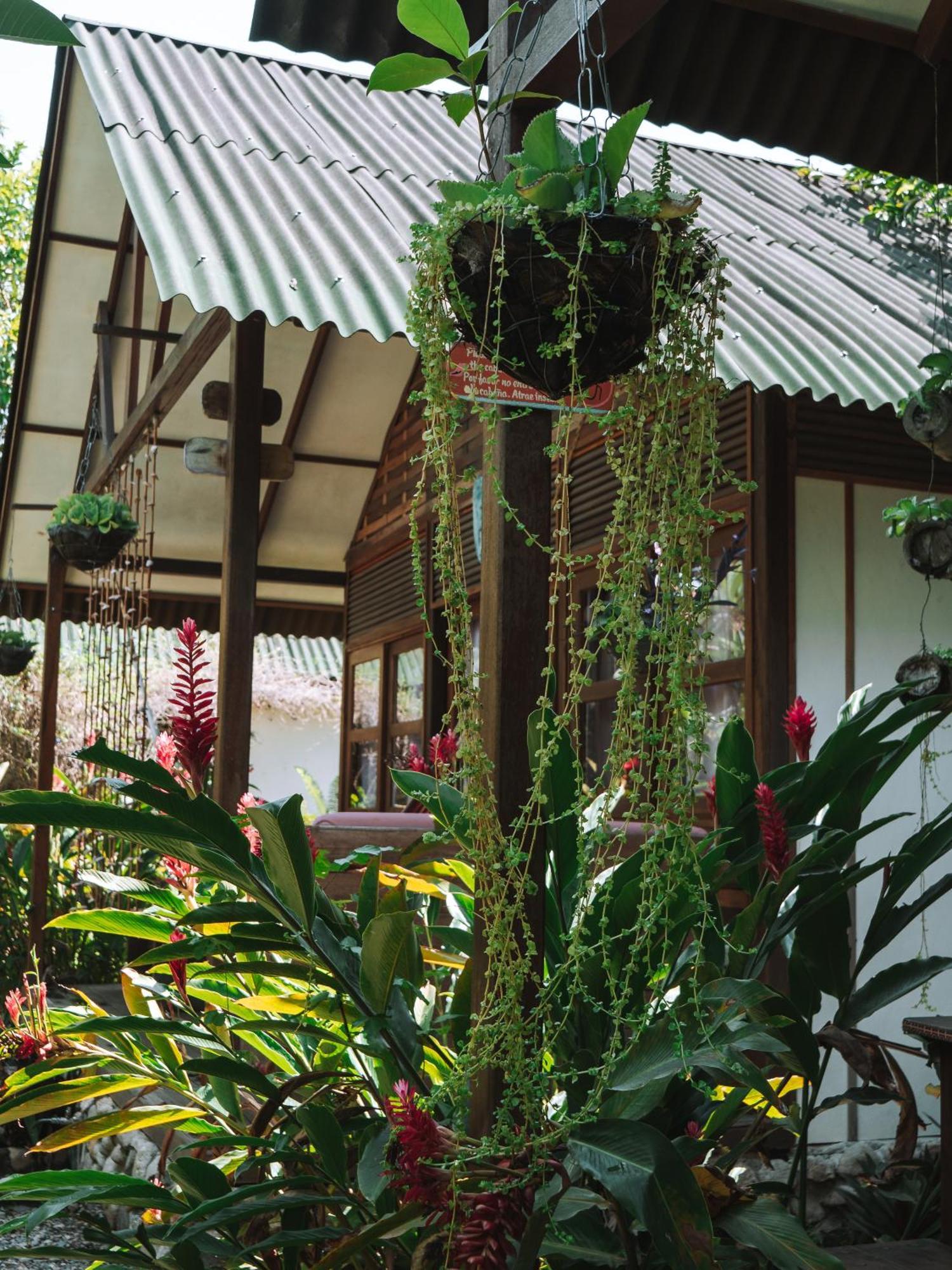 Nuba Boutique Hostel ปาโลมิโน ภายนอก รูปภาพ