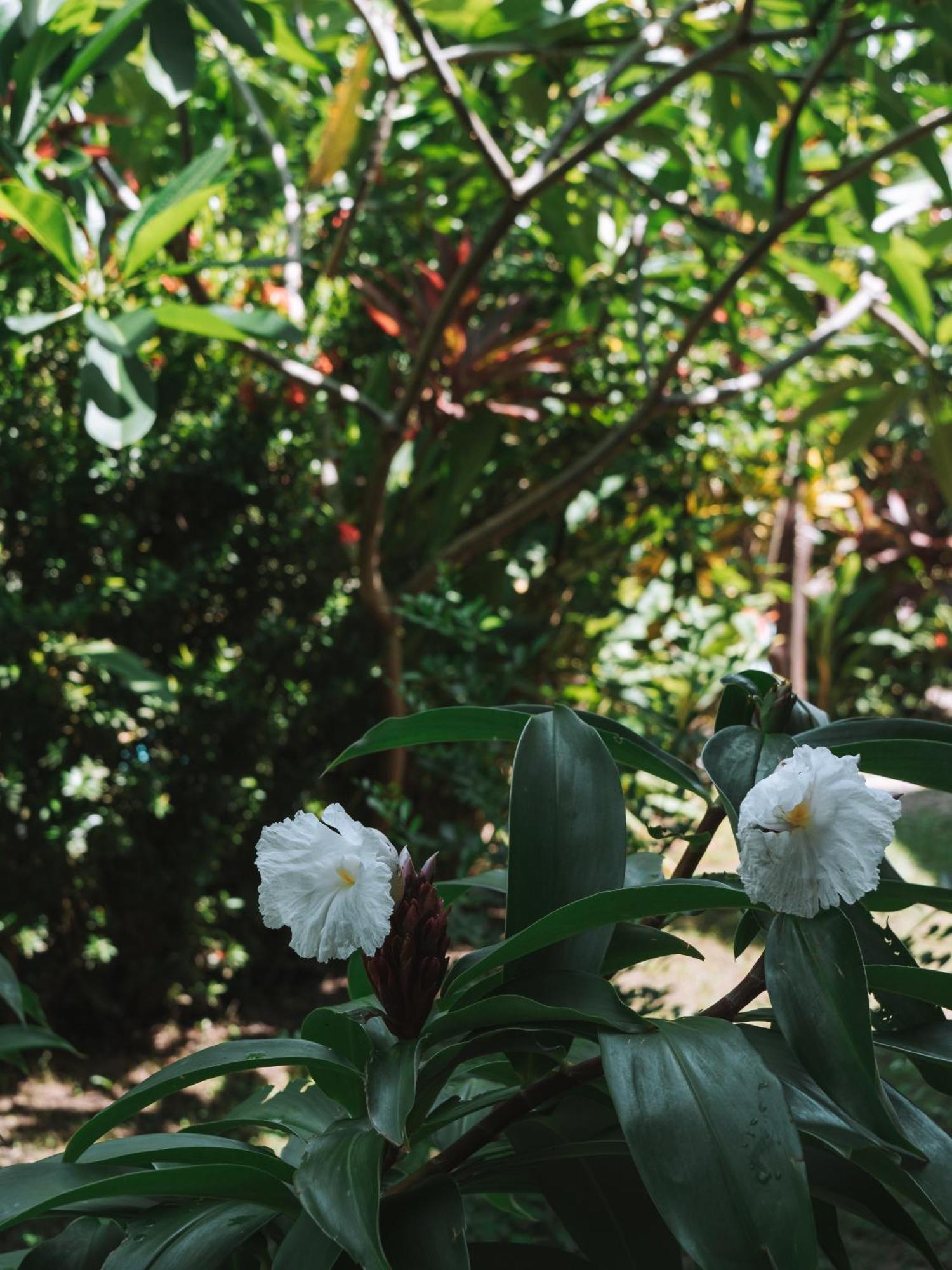 Nuba Boutique Hostel ปาโลมิโน ภายนอก รูปภาพ