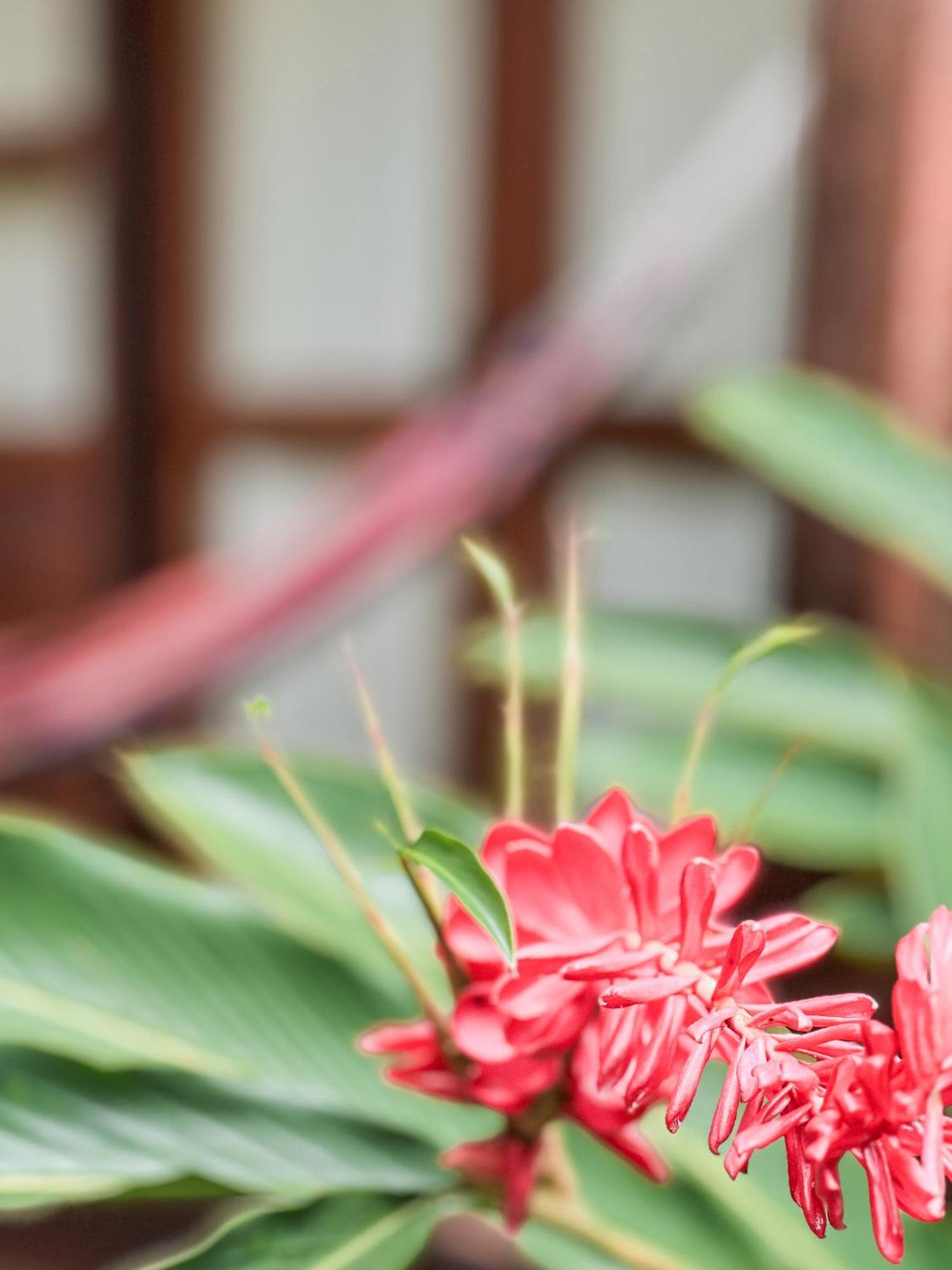 Nuba Boutique Hostel ปาโลมิโน ภายนอก รูปภาพ