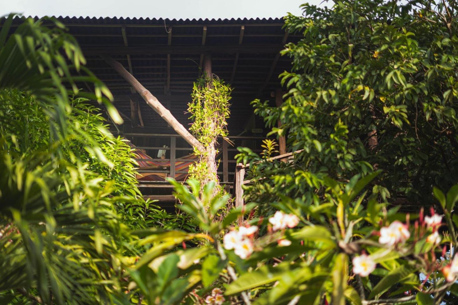 Nuba Boutique Hostel ปาโลมิโน ภายนอก รูปภาพ